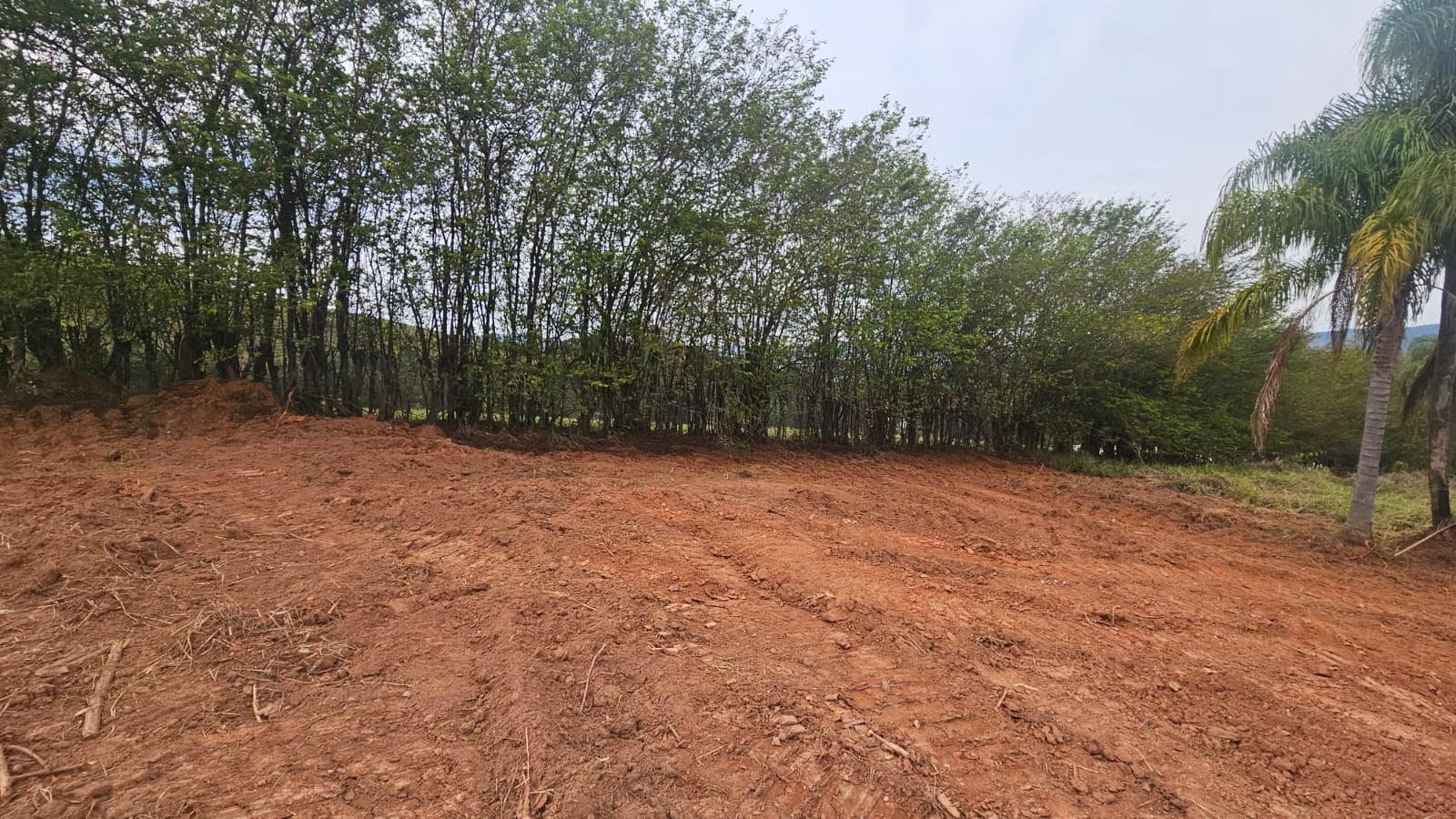 Imovel TR250012424 [7]