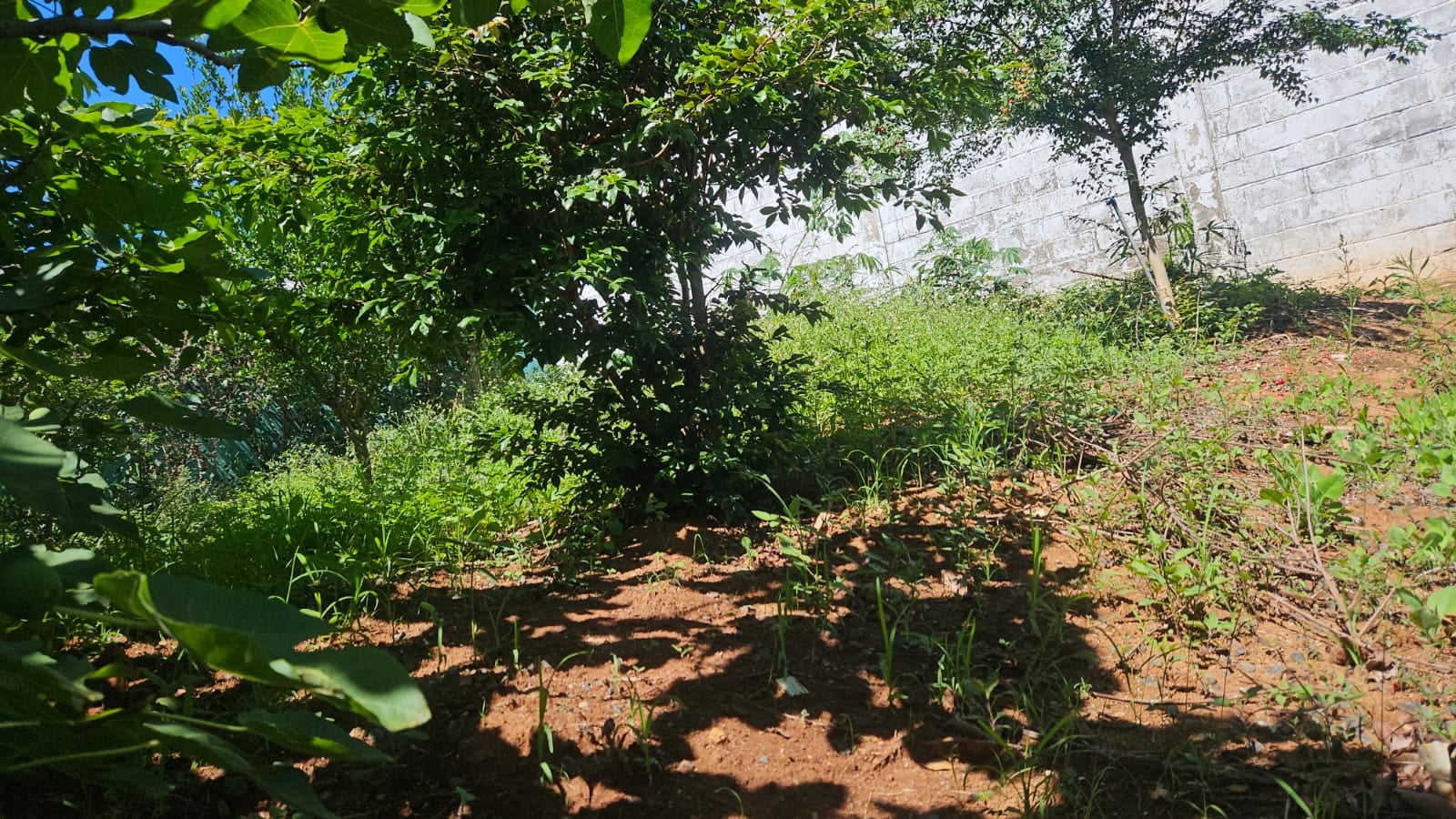 Imovel TR250013583 [7]