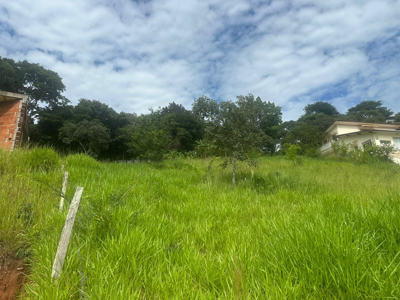 Imovel TR260015537 [6]