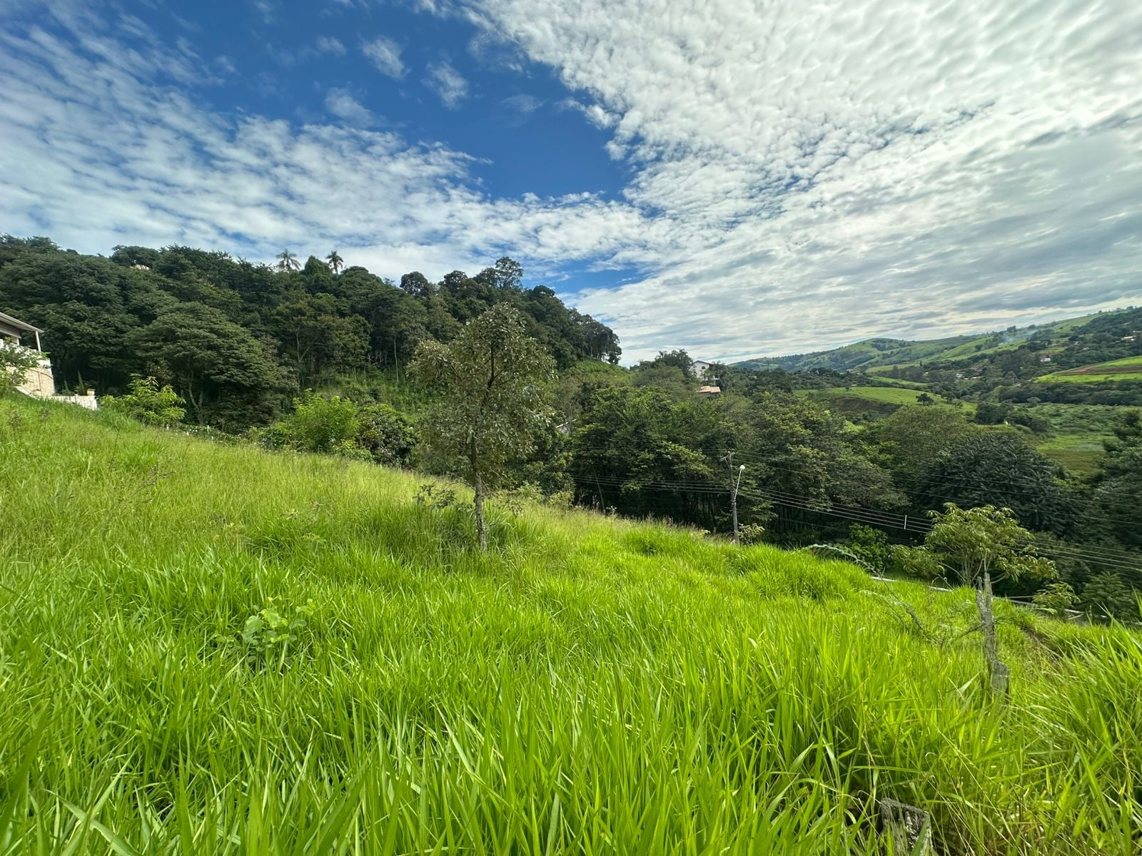 Imovel TR260015537 [7]