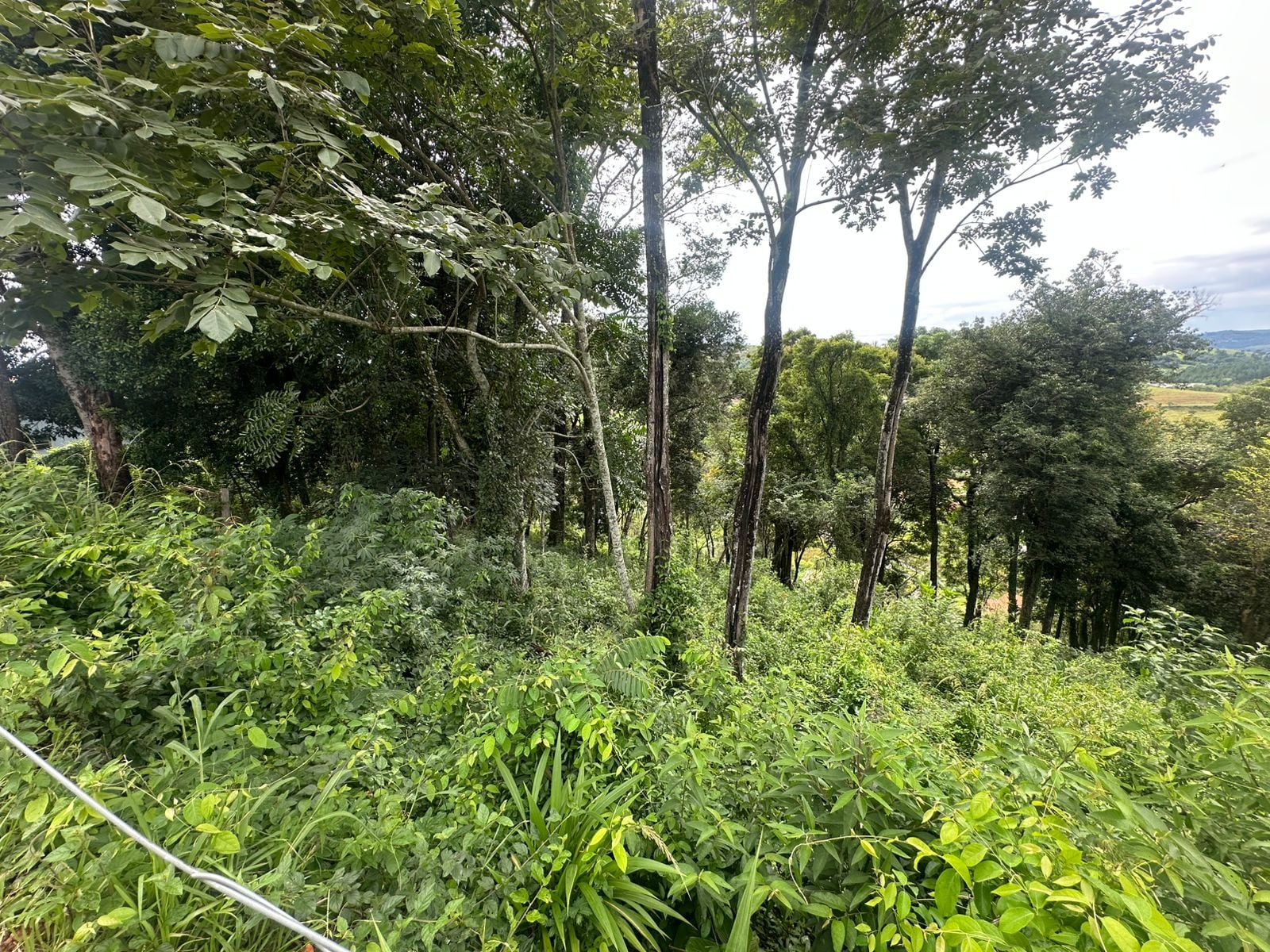 Imovel TR260011799 [6]