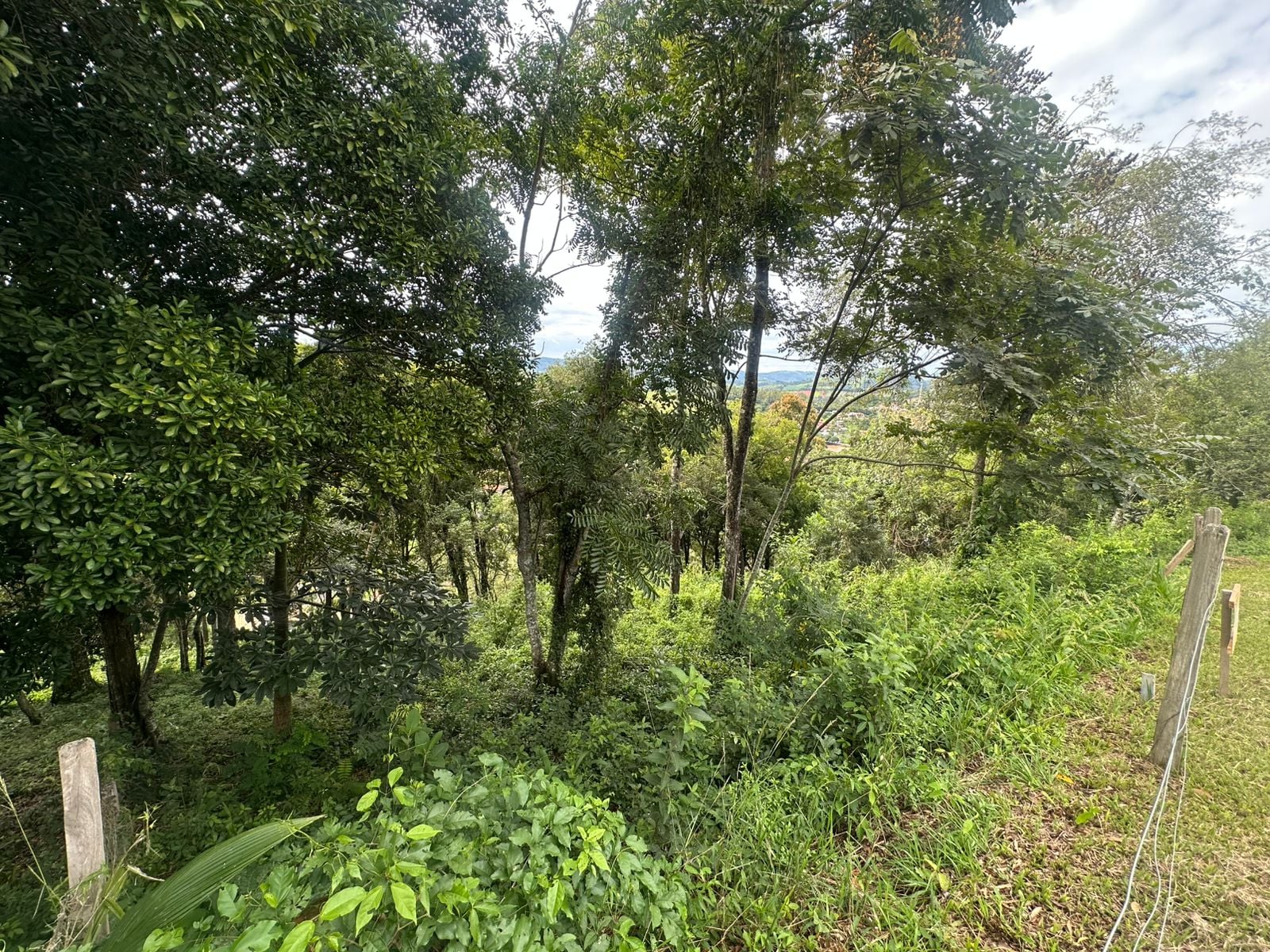 Imovel TR260011799 [4]