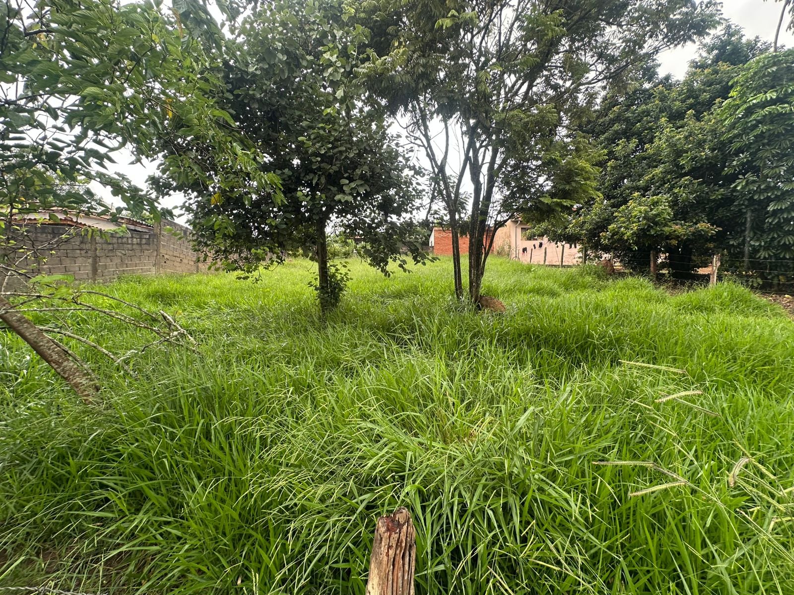 Imovel TR260019049 [8]