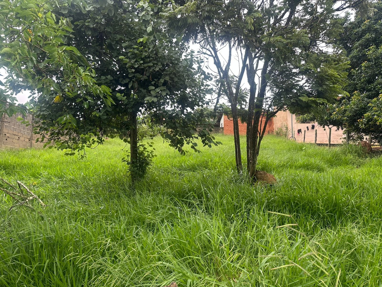 Imovel TR260019049 [5]