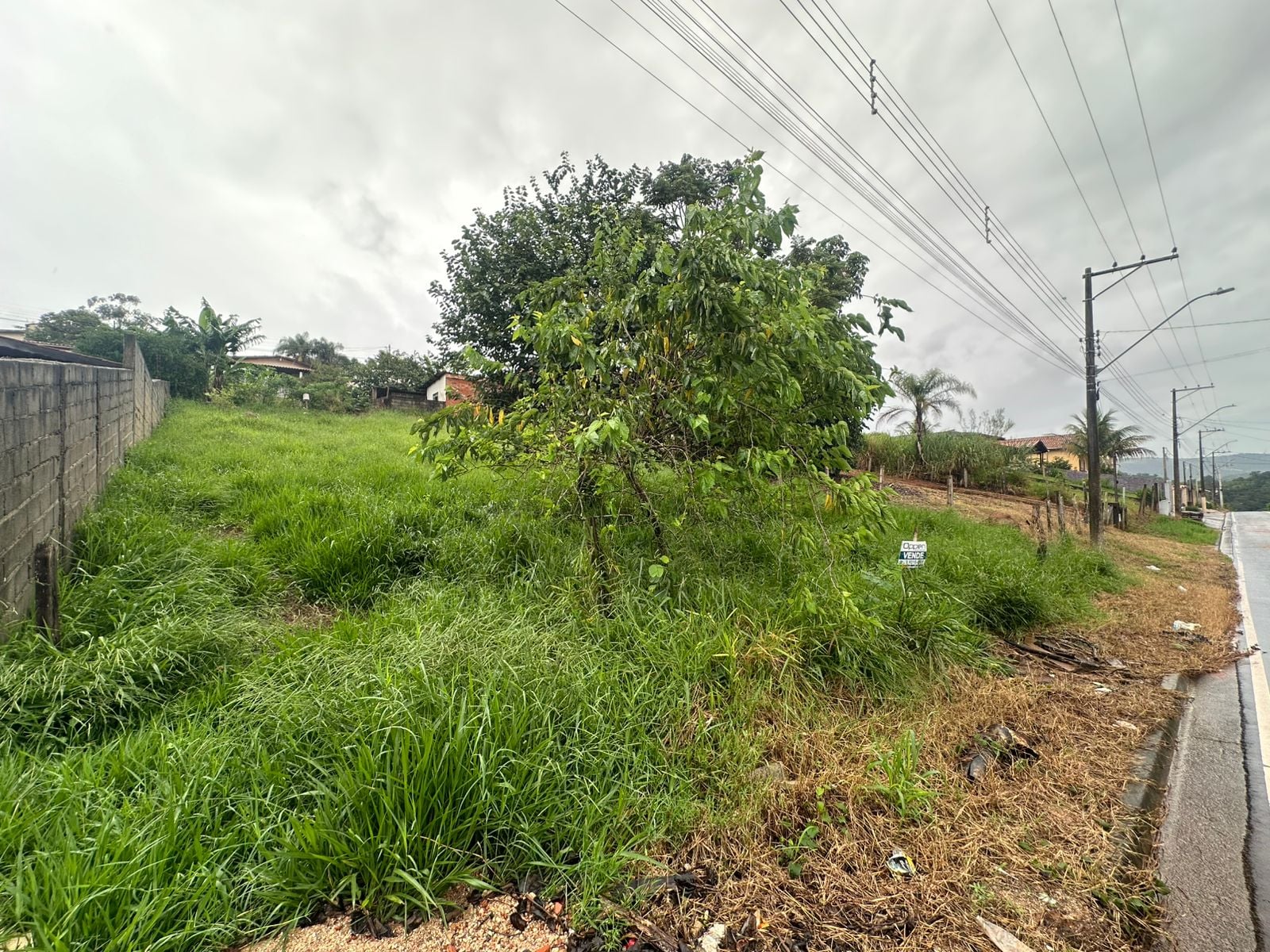 Imovel TR260019049 [3]