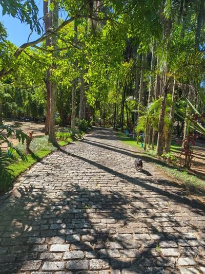 Imovel RA24001362527 [1]