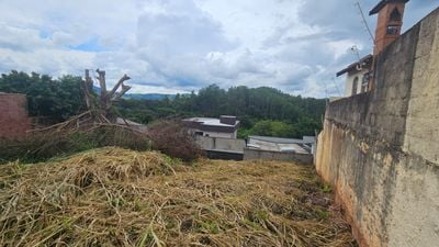 Imovel TR25001063356 [1]