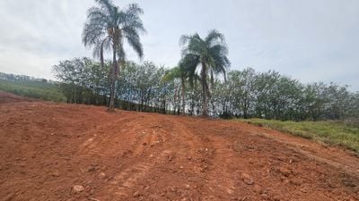 Imovel TR250012424 [1]