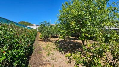 Imovel TR250013583 [1]